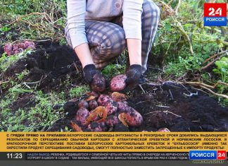 Отставить панику