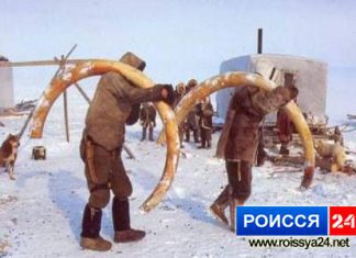 Унесу тебя я в тундру