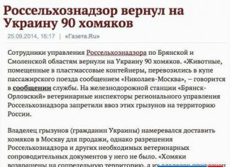 Забери своих хомяков, хунта