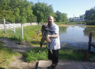 Это все ужасно мило, это все мы будем есть. Бутерброд из крокодила — это наша Штатам месть!