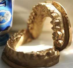 Промышленные гастарбайтеры чистили ртом орехи и семечки