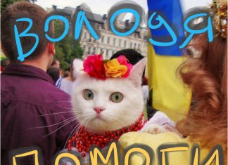 Без комментариев