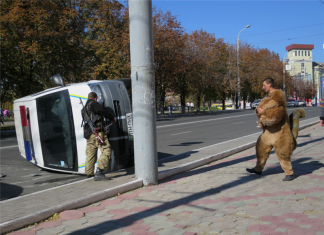 Даже мирные белочки против фашистов