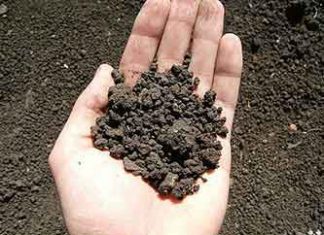 Убитые и изнасилованные 286 женщин под Красноармейском были беременны