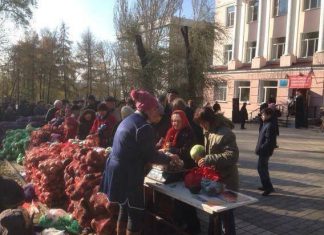 Уникальное зрелище: овощи голосуют за овощи. До чего кровавая киевская хунта довела страну