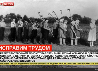 А мы понимаем, чем могут засеять целину наркоманы