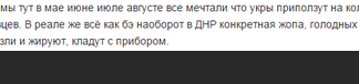 Президент Путин никогда не ошибается. Просто случаются шероховатости