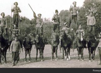 Новости орнитологии