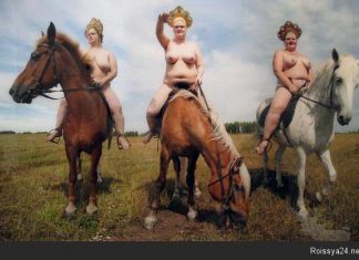 Тем временем у скромного нашего новостного агентства самых правдивых новостей наступил праздник: нас читают больше 500 человек!