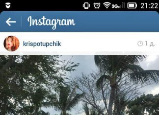 В Крыму сейчас пальмы и тепло