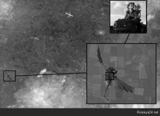 Кто его сбил?