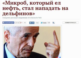 Онищенко предупреждает: «Микроб, который раньше ел нефть, нападает на дельфинов»