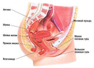 Цена барреля нефти Brent упала ниже $50, обновив 6-летний минимум