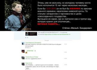 Снегири-герои, погляди