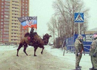 Донецкие ополченцы опробовали верблюда: тест-драйв прошёл успешно, животное довольно