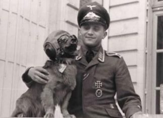 Вы нам должны: Россия выставила счёт Германии в 4 млрд евро за нападение на СССР