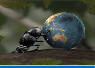 Зачеловечивание