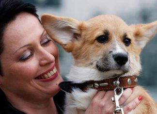 Питомец Путина обживается в ростовской семье