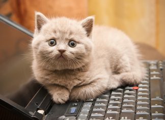 Отчёт о проделанной работе