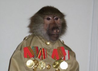 Малоизвестные страницы Великой Победы