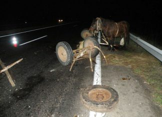 Новая православная разработка потрясла учёных всего мира: в это сложно поверить, но «Лада Калина» способна передвигаться без лошадей