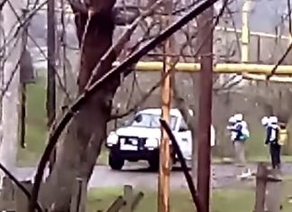 (Видео) Обитатели зоопарка