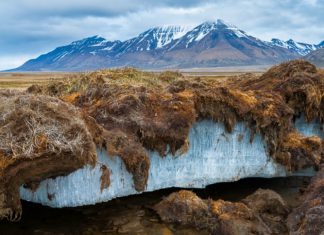 Программа переселения на Дальний Восток