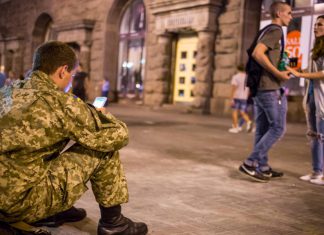 Полевые и половые