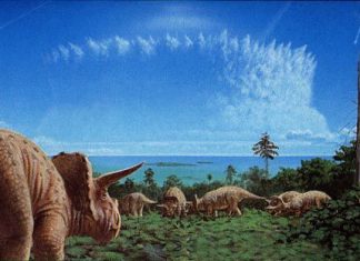 Камни с неба, або Дурак-Царевич и Кухаркин Сын