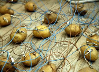 Временные трудности с энергоснабжением создали предпосылки к технологическому прорыву на Крыму