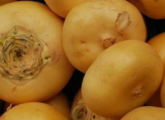 Рецепты праздничных блюд из репы