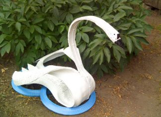 Из-за плохого лебедя солдату открутили соски