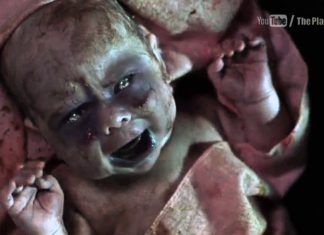 Младенца напоили черепашьей кровью для профилактики Covid-19. Он умер