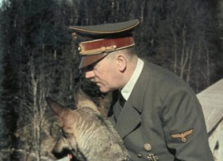 ФОШЫСТЫ ОБИДЕЛИСЬ НА ВОВУ — и пидарасят Россию по страшному