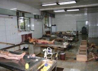 Смертность в Петербурге в мае выросла на 32%