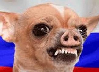 Да где же это, сука, дно?! Реклама голосования за попрание конституции.