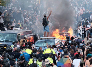 Губернатор-демократка: грабь, воруй, еби гусей!