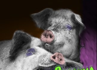 ПОПРАНИЕ КОНСТИТУЦИИ: мы вас вертели на хую