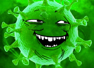 ЗАРАЗА БЕЛОРУССКАЯ, КАРТОФЕЛЬНО-КОЛОРАДСКАЯ