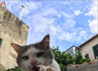 Иллюзия выбора или о том как играть с шулерами