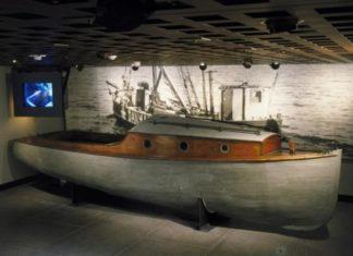 Как мёртвые кролики и кокаин спасли тысячи жизней