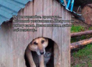 МВФ и Кристин Лагард ставят свои раздолбанные анусы, что Рашке пизда. Принимайте.