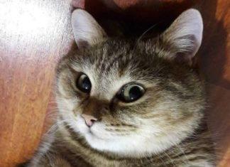 «Готовься, готовься, готовься».Осенью мир будет уже совершенно другим