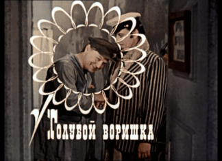 Импортозамещение па-руски: китайские «дырявые» камеры с российскими наклейками — в школах