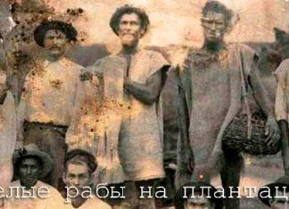 Димон завёл себе рабов в Брянской области