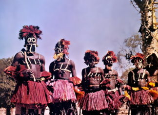 В Африке оценили призыв «вернуть домой» негров из США