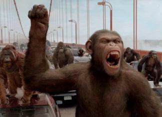 «Они стараются угождать старшим по рангу» Вертикаль власти, гигиена и поддержка: чем РОССИЯНЕ отличаются от людей