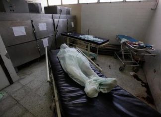 Вспышка инфекции в Северодвинске