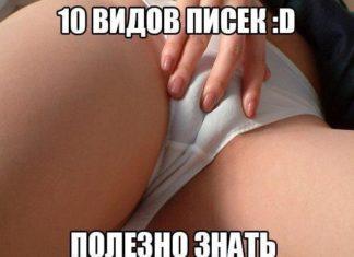 Политик, лидер и борец снова всех переиграл