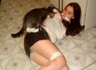 БЕССИЛИЕ СИБИРИ